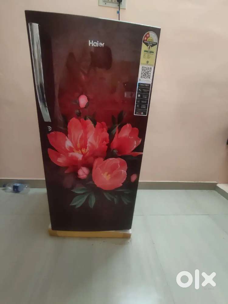 USD only 6 manth Haier company warranty all so is there