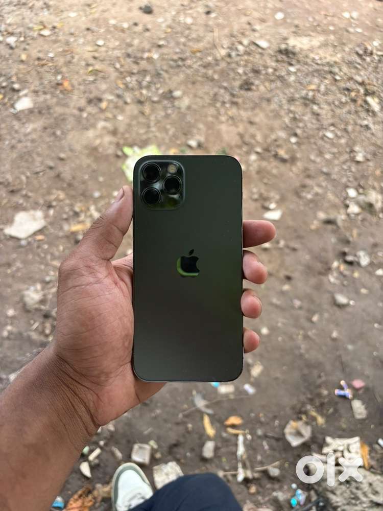 12 pro 256