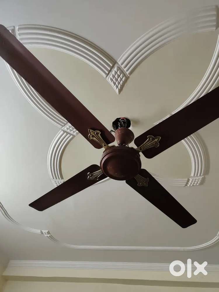 Crompton Fan