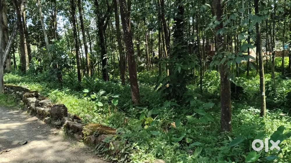 House plot for sale 32 cent(per cent 2 lakh negotiable)