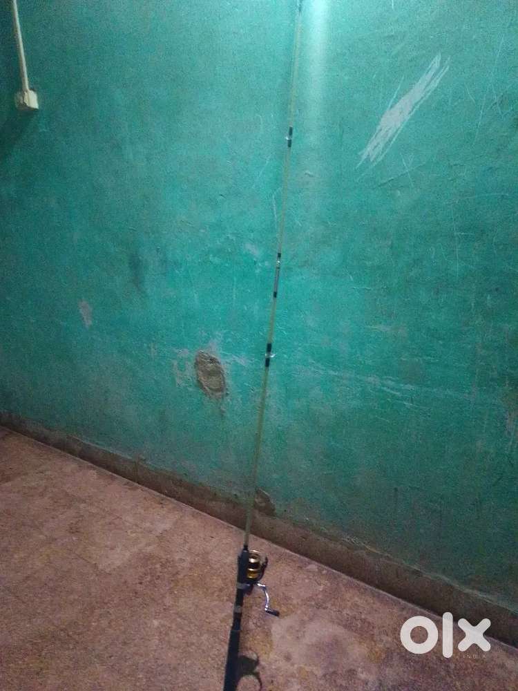 Fishing rod available