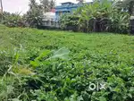 22 cents of prime commercial plot for sale at Petta.