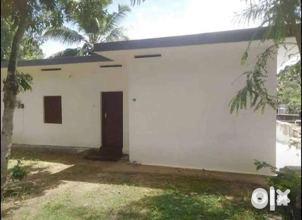 HOUSE FOR RENT Near Mangattukadavu