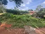 Plot for sale at Ramapuram Kerala