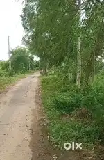 28 ગુંઠા જમીન - ડેમોલ -16 km નડિયાદ