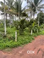 16 cent housing plot for sale near moolankave .Sulthan Bathery Wayanad