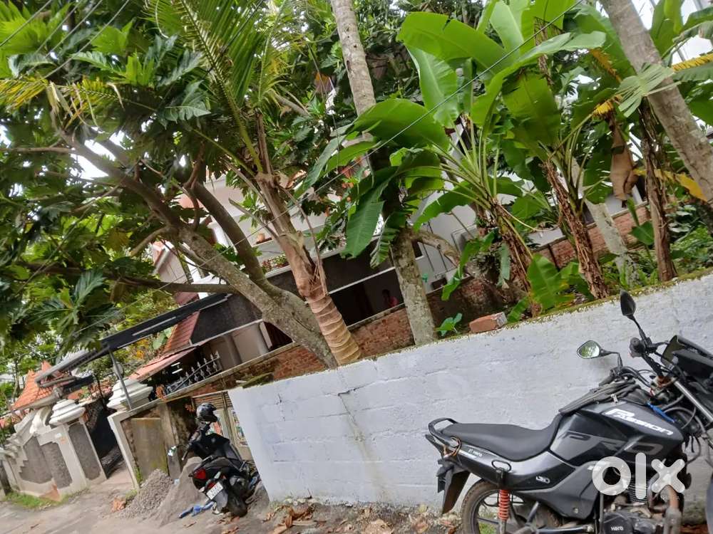 Premium 8 Cent Residential Plot for Sale in Kowdiar