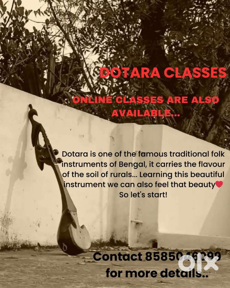Learn  Dotara (Offline, Online)