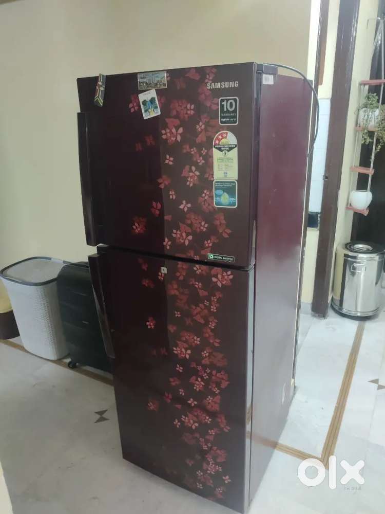 Samsung  253L  3-Star  Frost free  Double door refrigerator