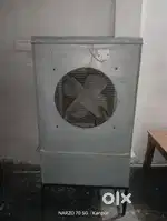 Cooler 1 year old