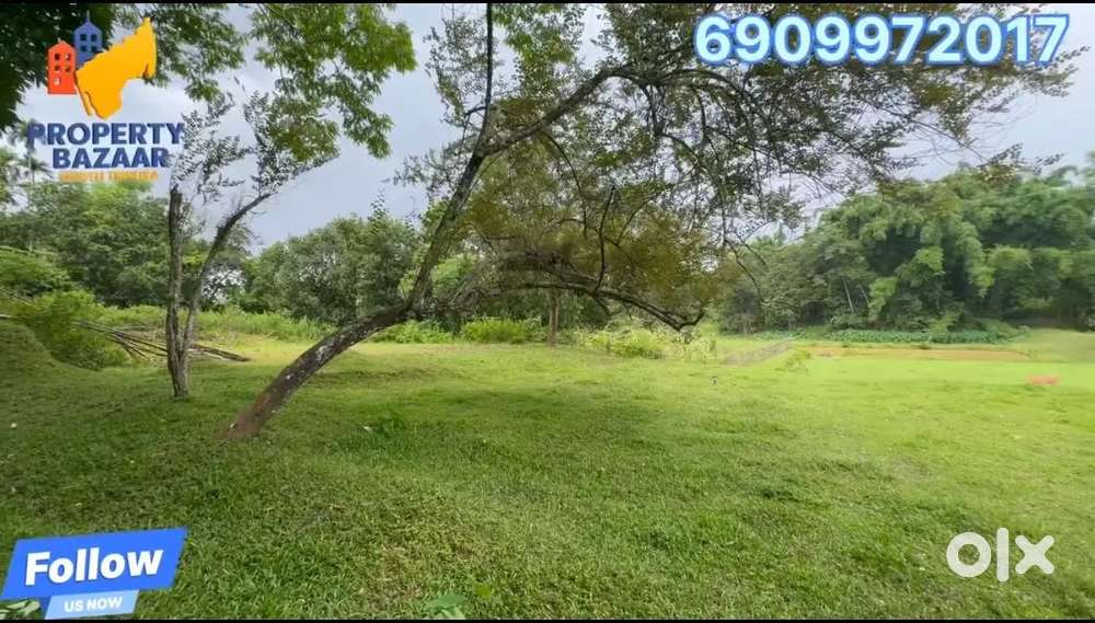 এক কানি জ্বয়গা বিক্রী করা হবে