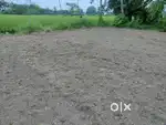 Plot for sale