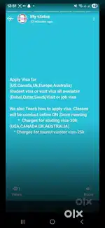 Visa processing