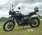 Well maintained and single owner