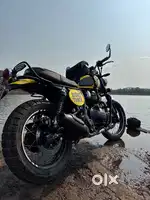 Royal enfield Bear 650