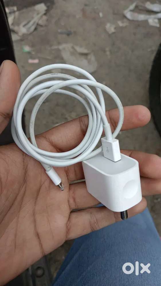 Original iPhone charger