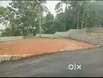 House Plots Of 5.600 Cents And 6.250 Cents Dry Land For Immediate Sale