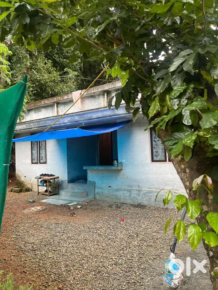 വീടും സ്ഥലവും വില്പനയ്ക്ക്