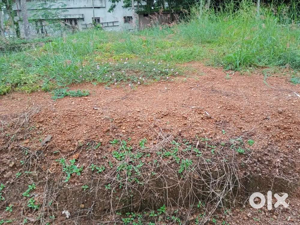 5 cent Individual house plot far sale @ sreekaryam powdikonam