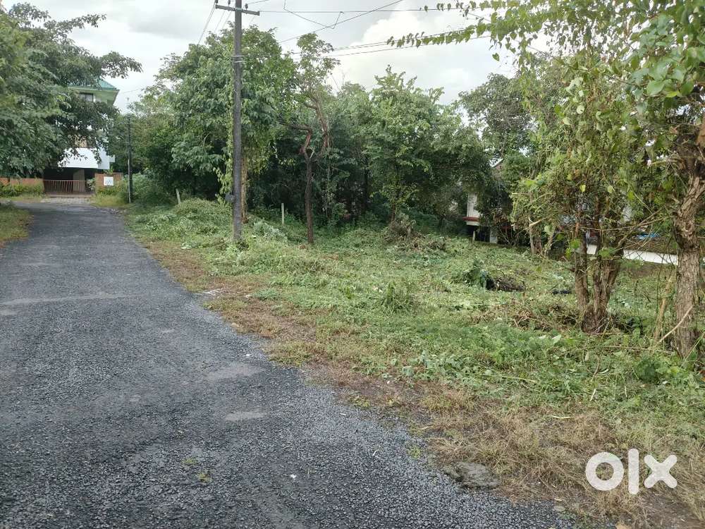 NA plots old Goa kadamba pleauto