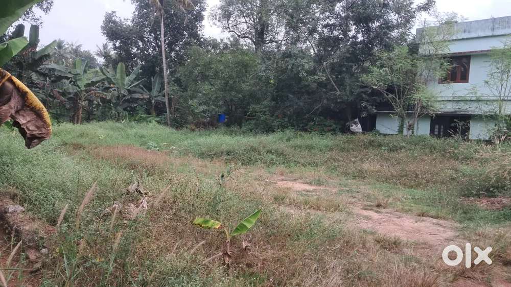 10 cent land for sale in kanjoor,near airport,Kalady,Angamaly,Aluva