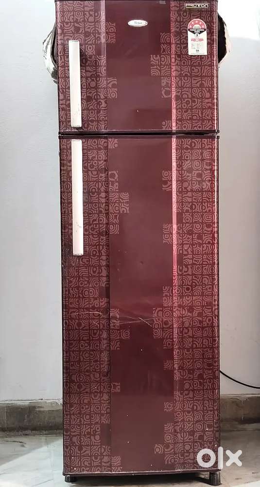 Whirlpool Proton 2-Door Fridge – 5 Star  250 Litres