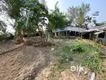 Farm Land with Farm House For Sale in Nimo
