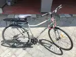 Triad cobranded by hercules, 7 speed original shimano gear cycle