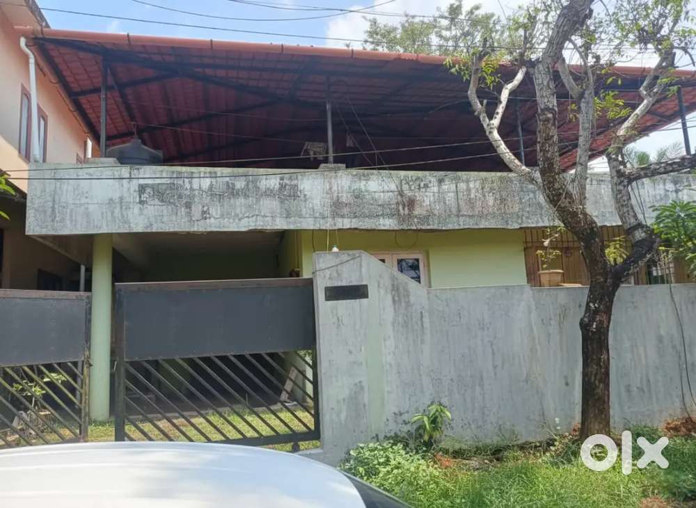 Single Floor 2BHK House with 6 Cent Plot for Sale - Prime Location