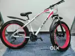 fat tire bicycle