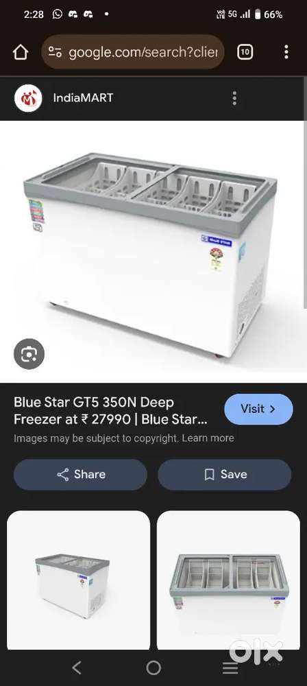 Bluestar chest freezer 300 liters