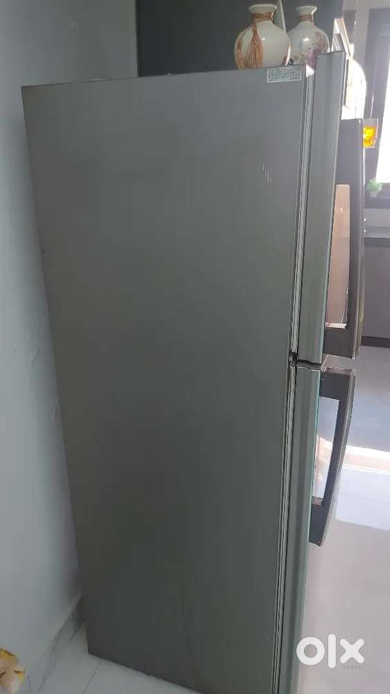 Samsung 255 L double door