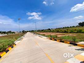 Invest in Land, Invest in Tomorrow.