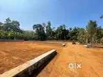 കറുകുറ്റി APOLLO HOSPITAL ൽ നിന്നും 1.50 Km ദൂരത്തിൽ ഹൗസ് പ്ലോട്ടുകൾ