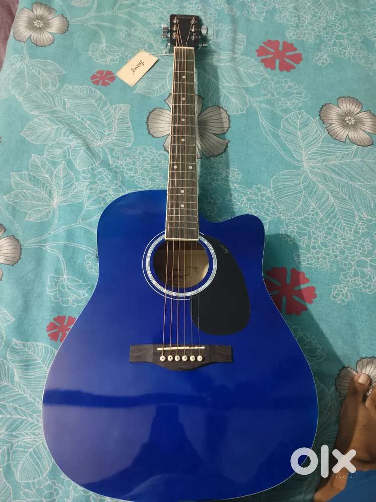 Acoustic Guitar