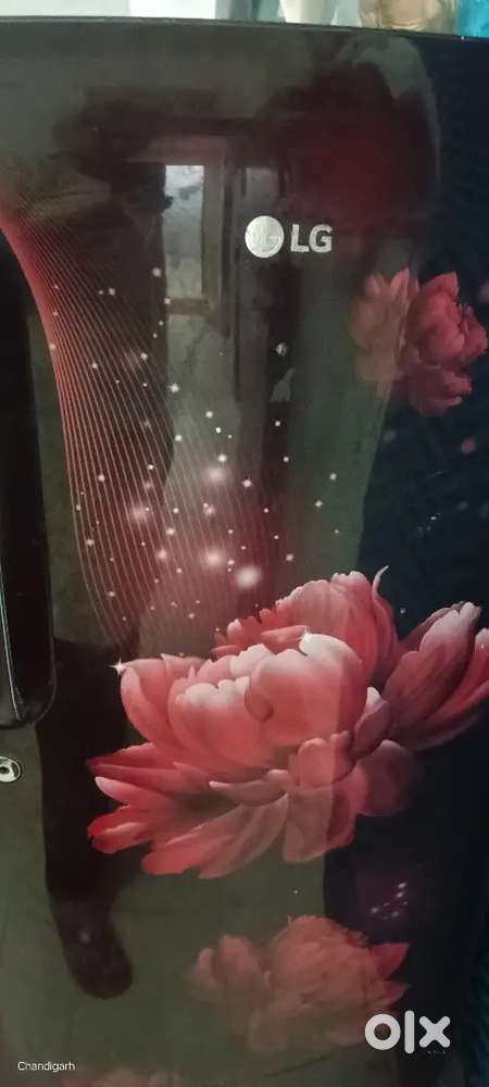 New fridge