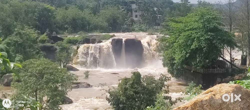 We are providing skilled and professional drivers.