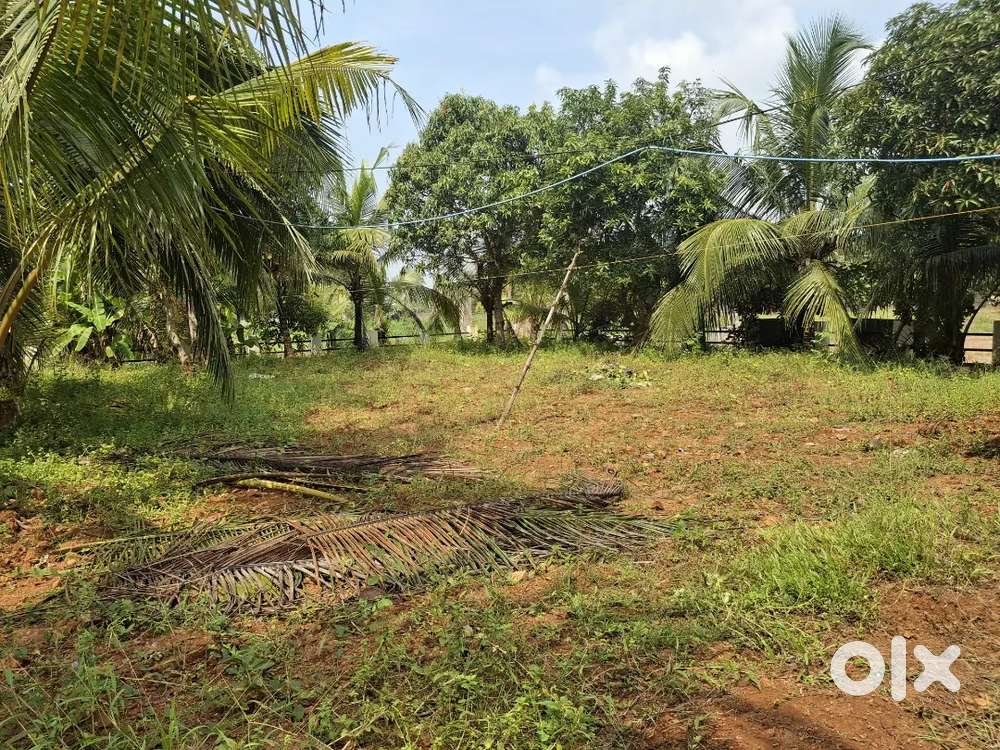 18 cent land for sale