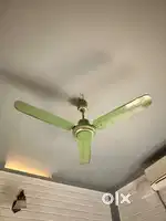 Ceiling Fan