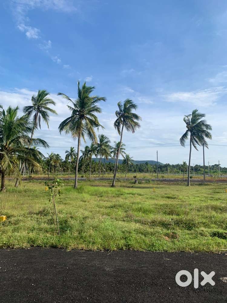 Near bhogapuram international airport, near upcoming beach corridor