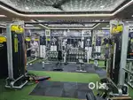 Complete gym, cardio, crossfit & weight lifting setup