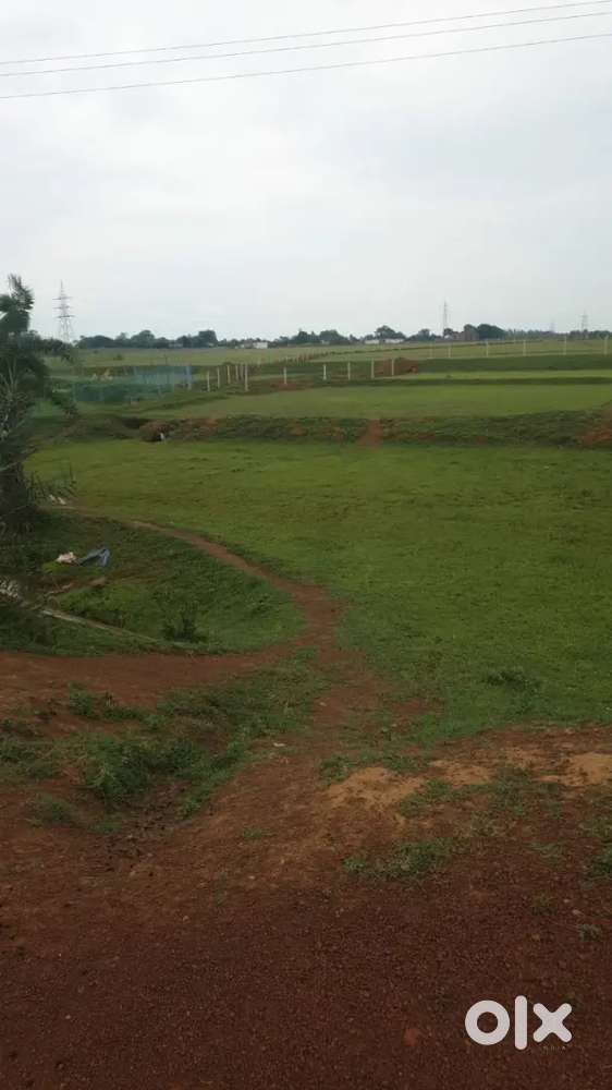 1 acer jamin for Investment in raipur siltara-bahesar