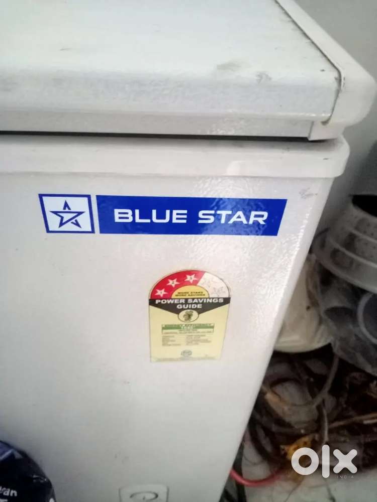 Blue star Deep Freezer 500 liter