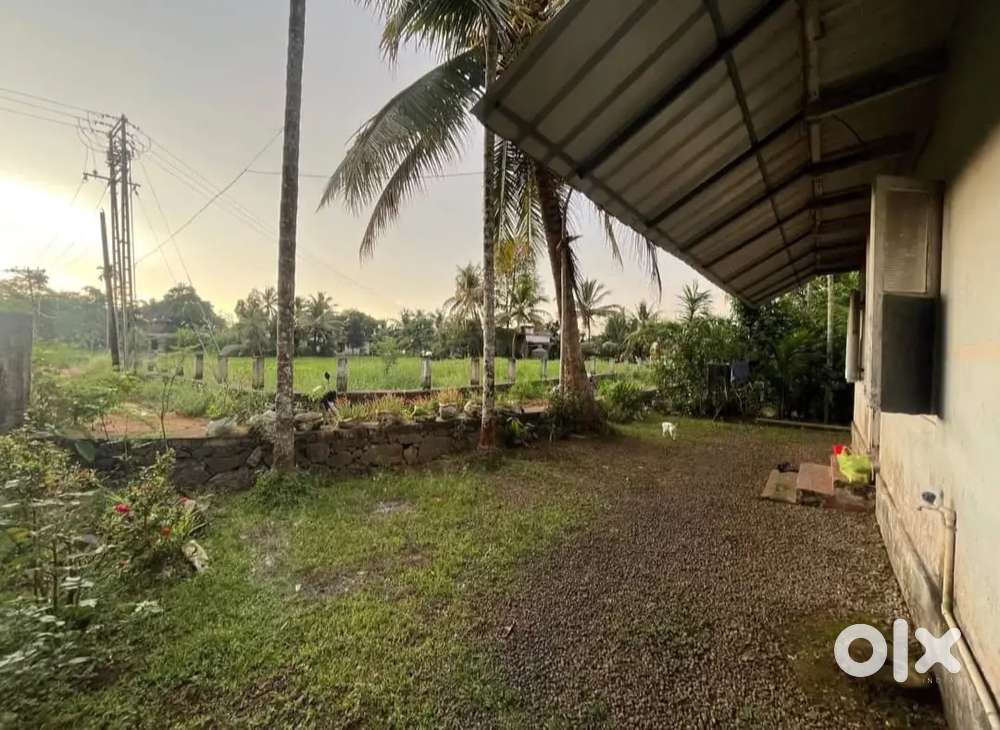 10cent plot and house for sale