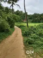 Agriculture land 2 Acres with clear Title for Sale