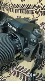 Canon 80D with 55-250mm STM Long Lens