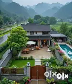 Fruit plants only near Iskon temple