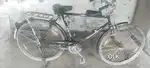 Tejas shakel