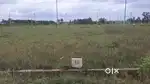 Site for sale