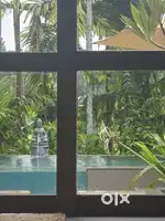 Need engineer or architect for construction  company